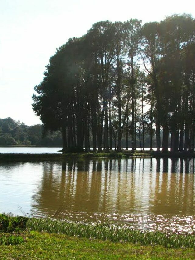 Melhores Passeios em Almirante Tamandaré PR