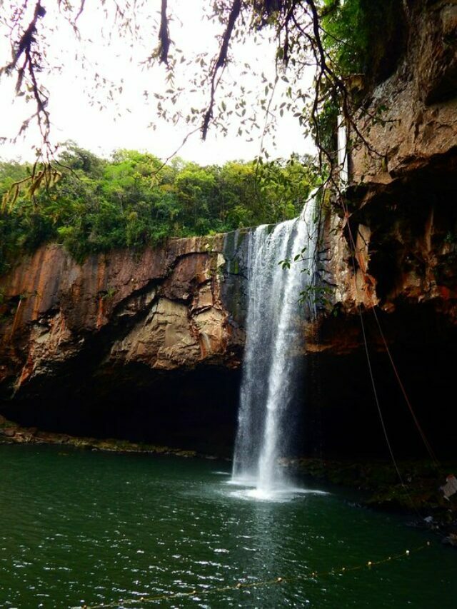 Melhores Passeios em Novo Hamburgo RS