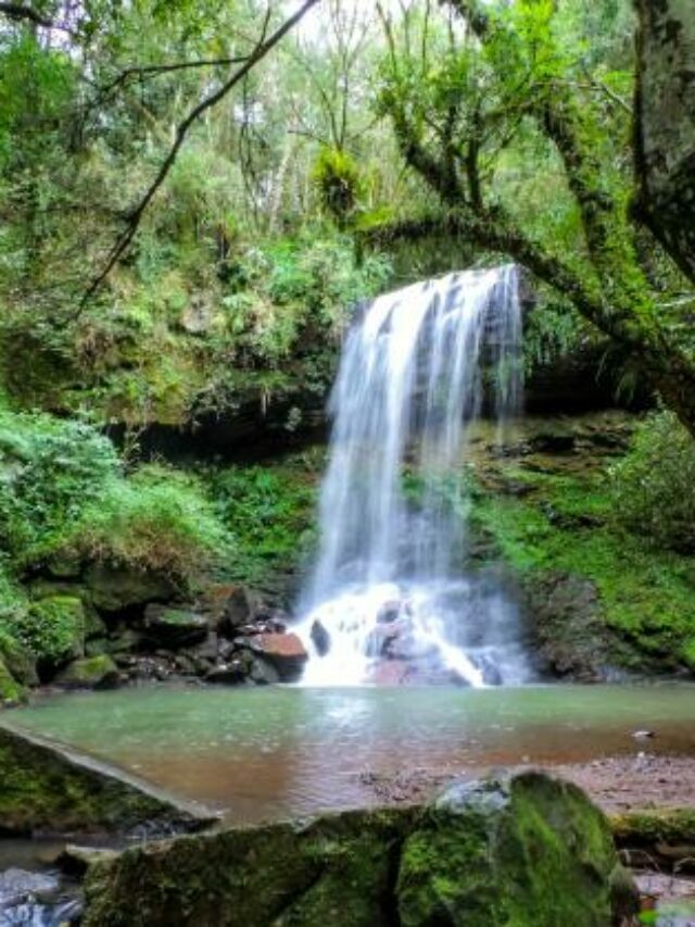 Melhores Passeios em Toledo
