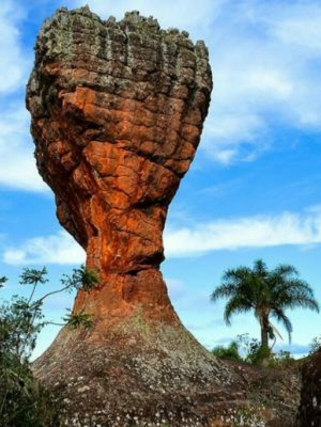 Melhores Passeios em Ponta Grossa