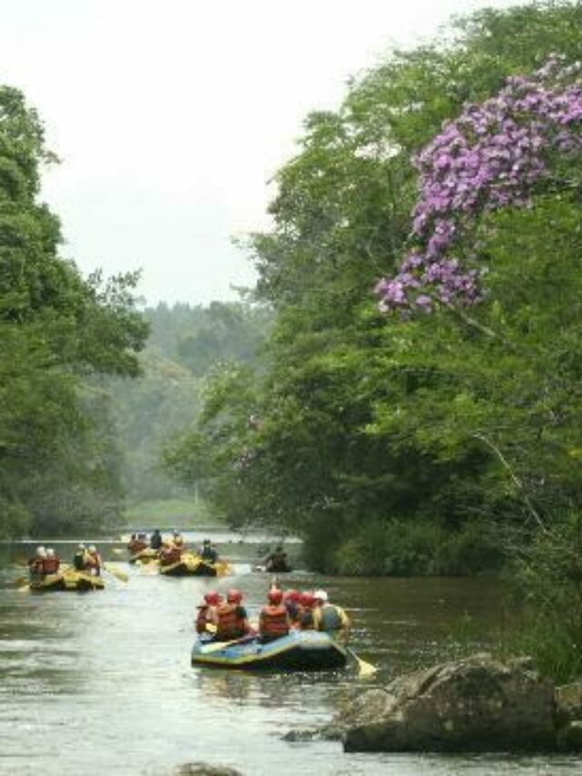 Viva Ecoparque - Juquitiba - São Paulo