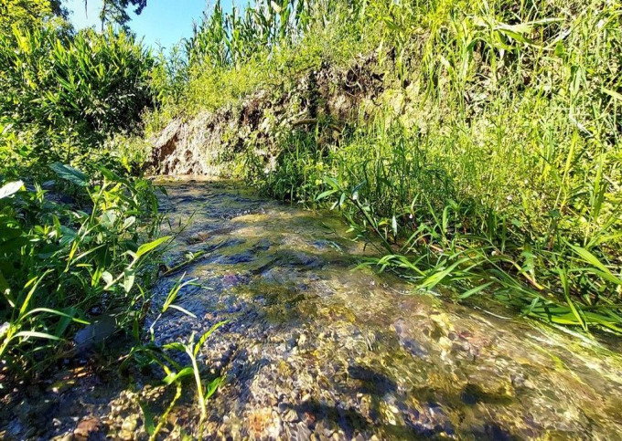 Terreno para Sítio à Venda de 3 hectares com Riacho em Agrolândia SC