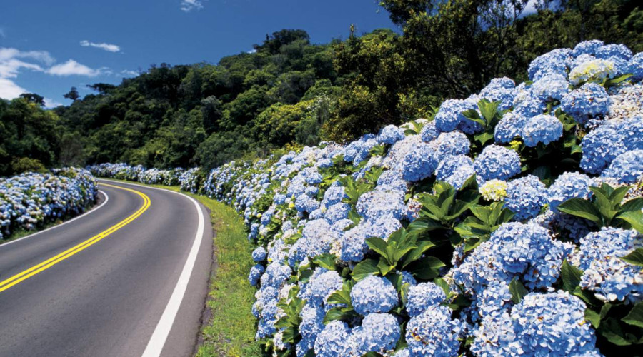 Como chegar ao paraíso de Gramado: dicas quentes dos viajantes