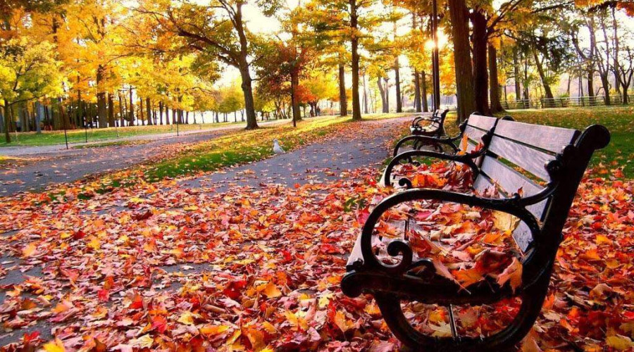 Top destinations and tours to enjoy autumn in Brazil
