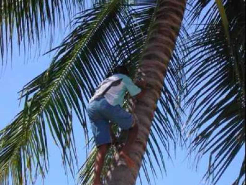 Férias no Paraíso