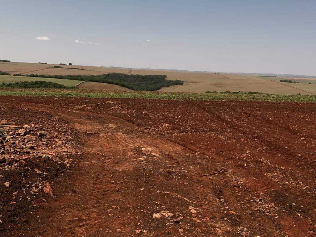 Oportunidade incrível 26.5 Alqueires de Terras Roxa na Região de Quarto Centenário PR