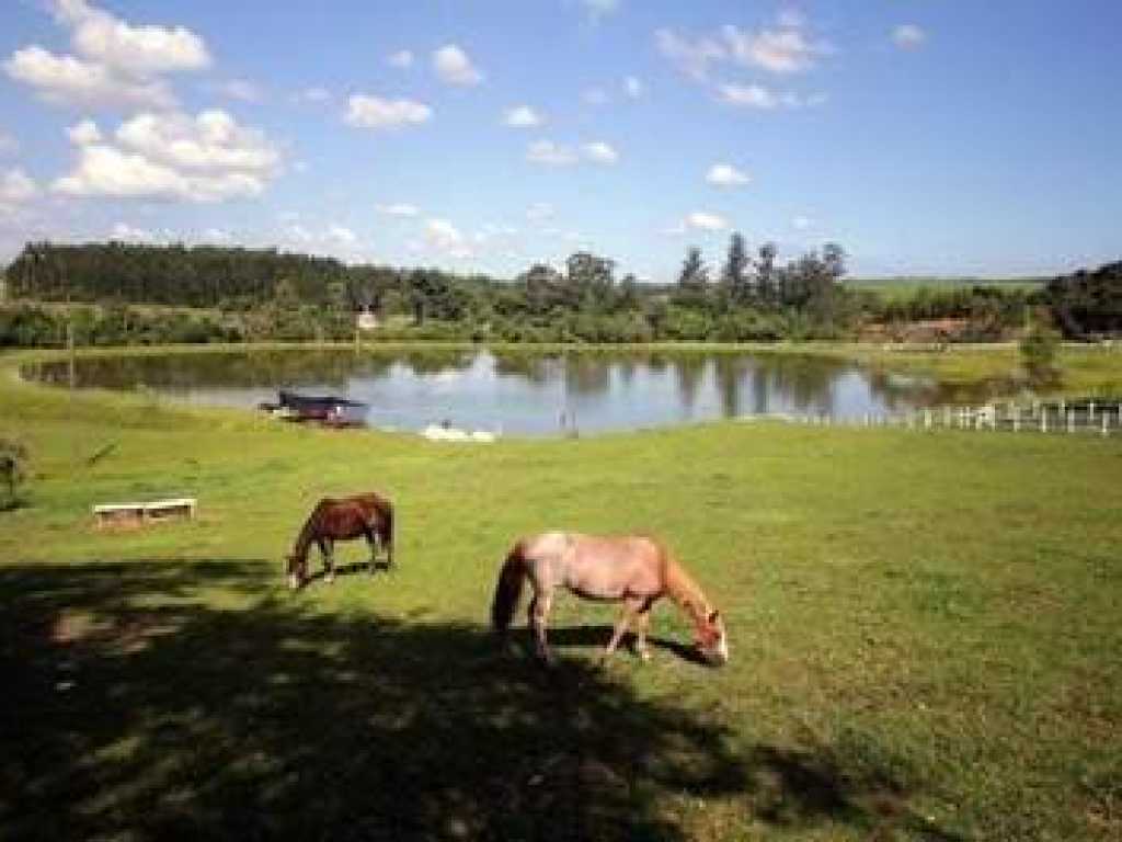 POUSADA FAZENDA DAS PALMEIRAS - BROTAS - SP - HOSPEDAGEM E ATIVIDADES