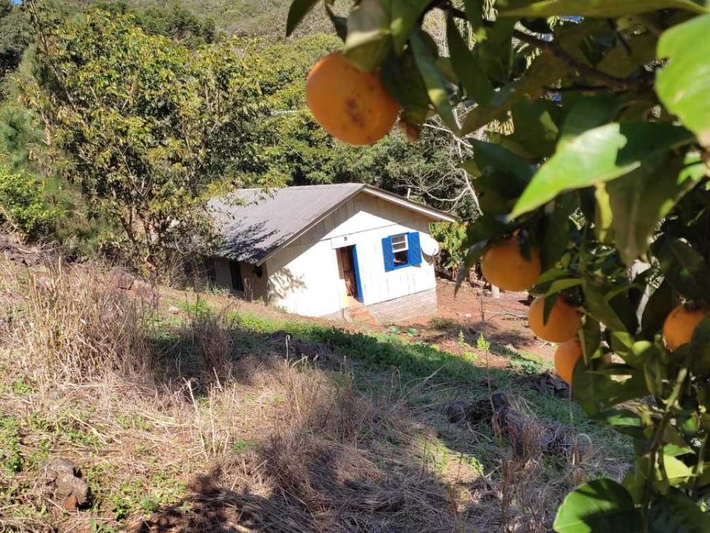 Casa isolada em meio a natureza