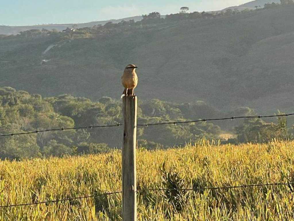 Pousada Tapera da Véia