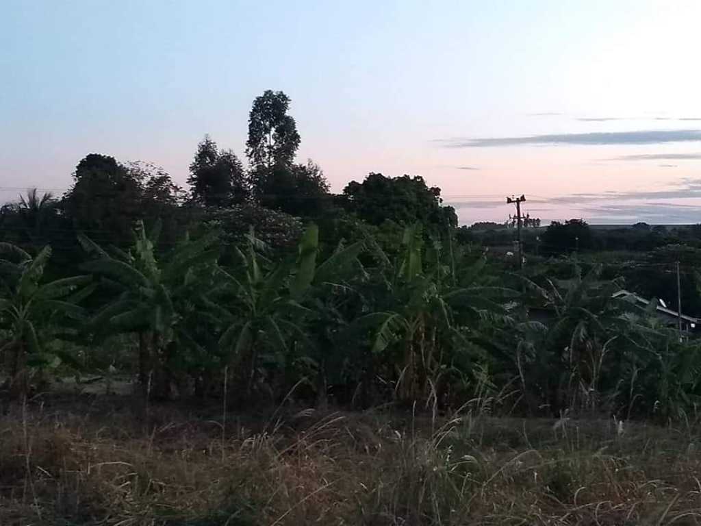 Linda Chácara a venda Lupionópolis