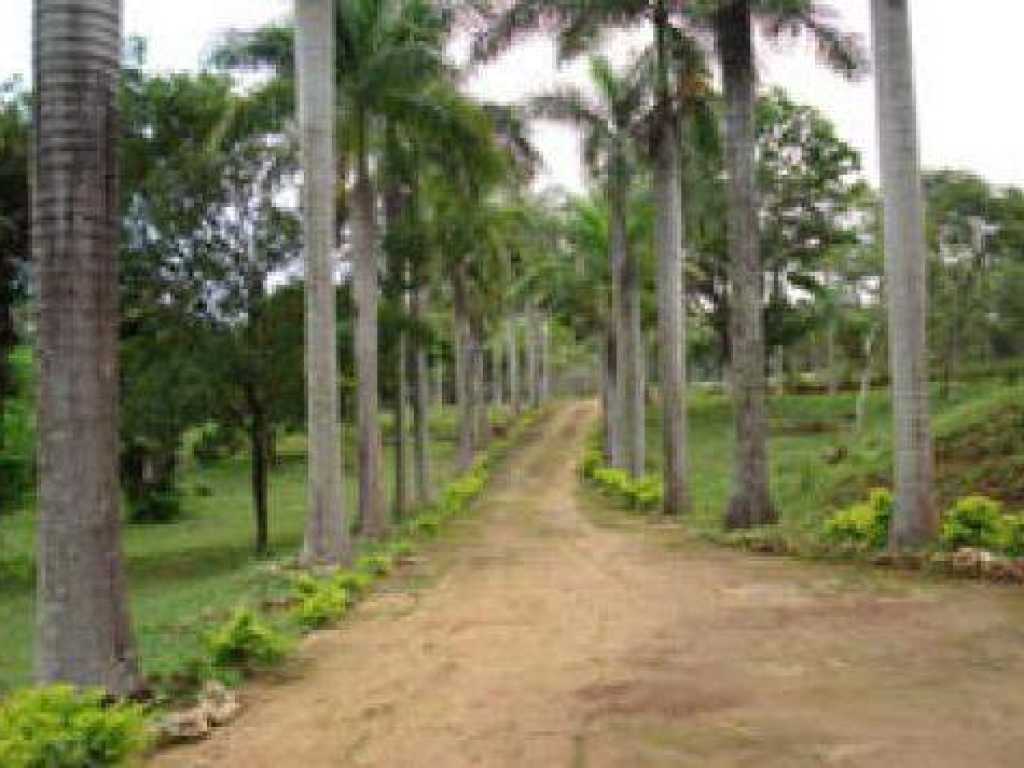 Fazenda Campo Alegre