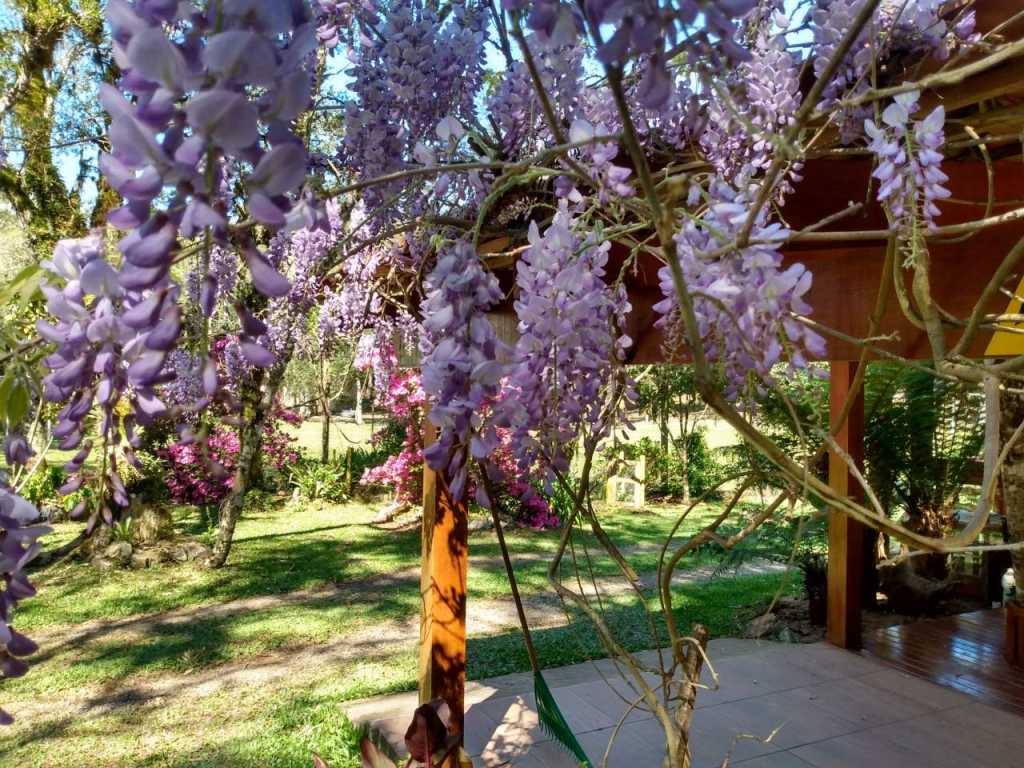 Lindo sítio num belo bosque junto ao centro de Gramado