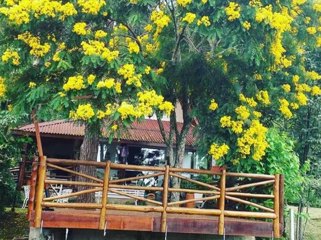 Casa da floresta em Campos do Jordão - Sua Melhor hospedagem