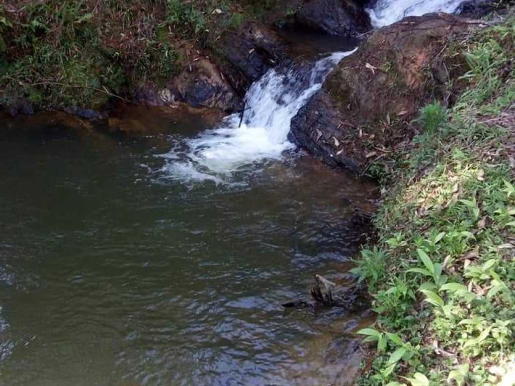 Alugo lind sitio em Juquitiba