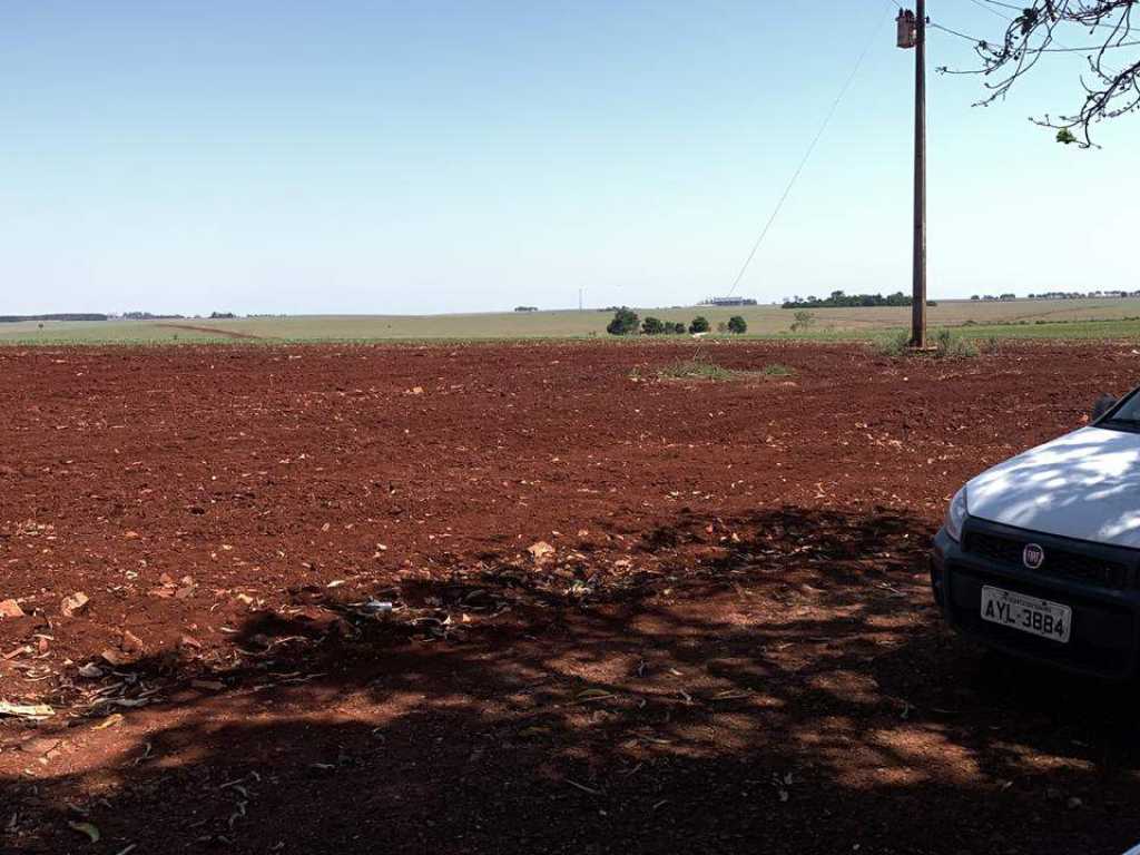 Oportunidade incrível 26.5 Alqueires de Terras Roxa na Região de Quarto Centenário PR