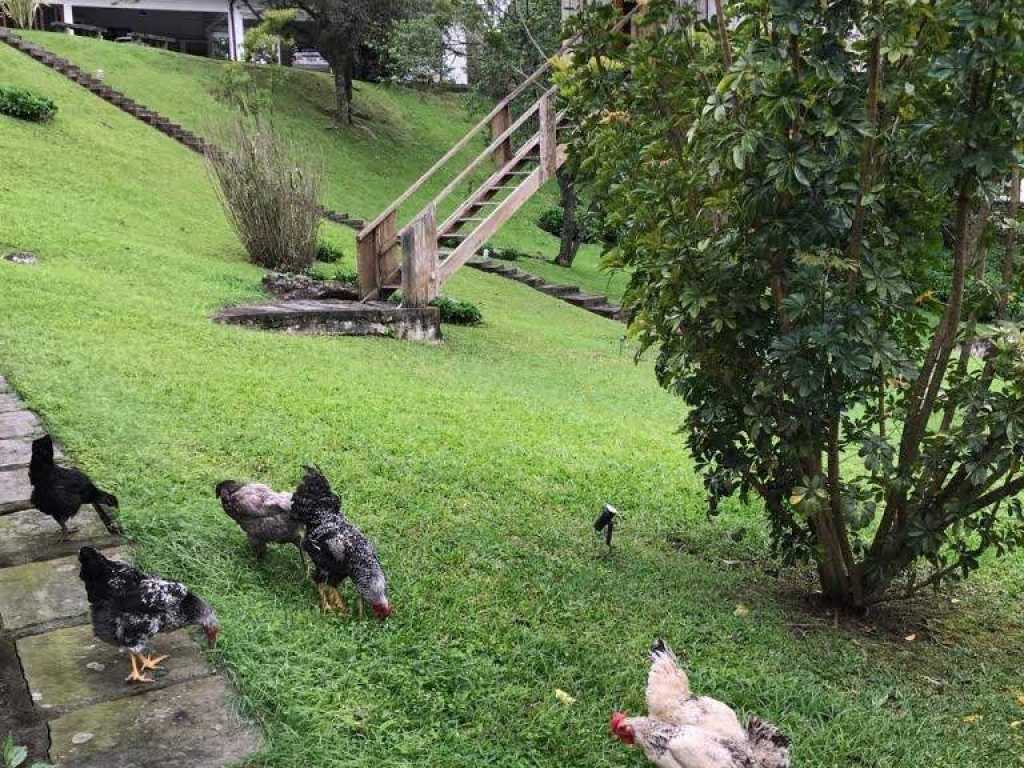 Maravilhosa Casa em contato com a natureza- Nova Friburgo