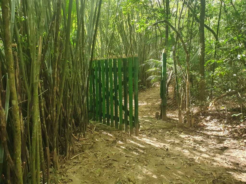 Sitio Terabitia - Casa no Sertão do Rio Bonito piscina sauna e rio passa em frente a propriedade.