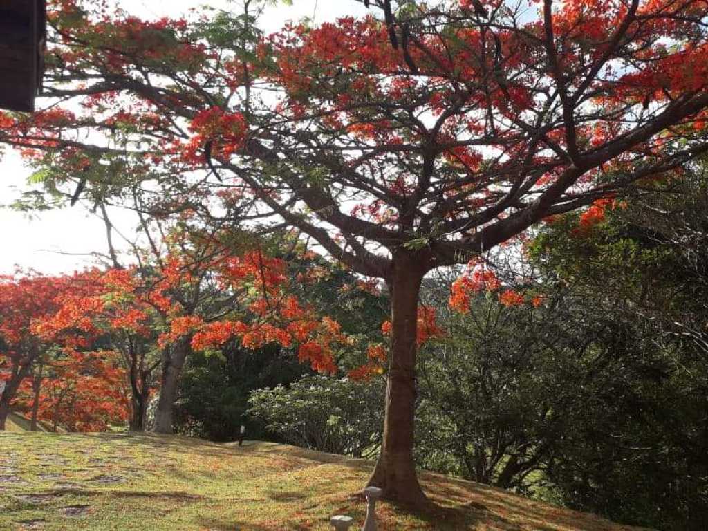 Luxuosa Chácara Juanita em Socorro-SP