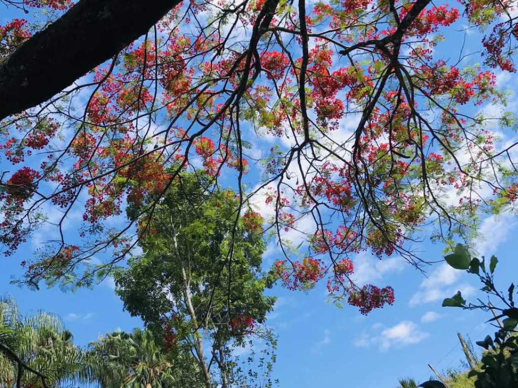 Sítio familiar de lazer no Sul de Minas Gerais