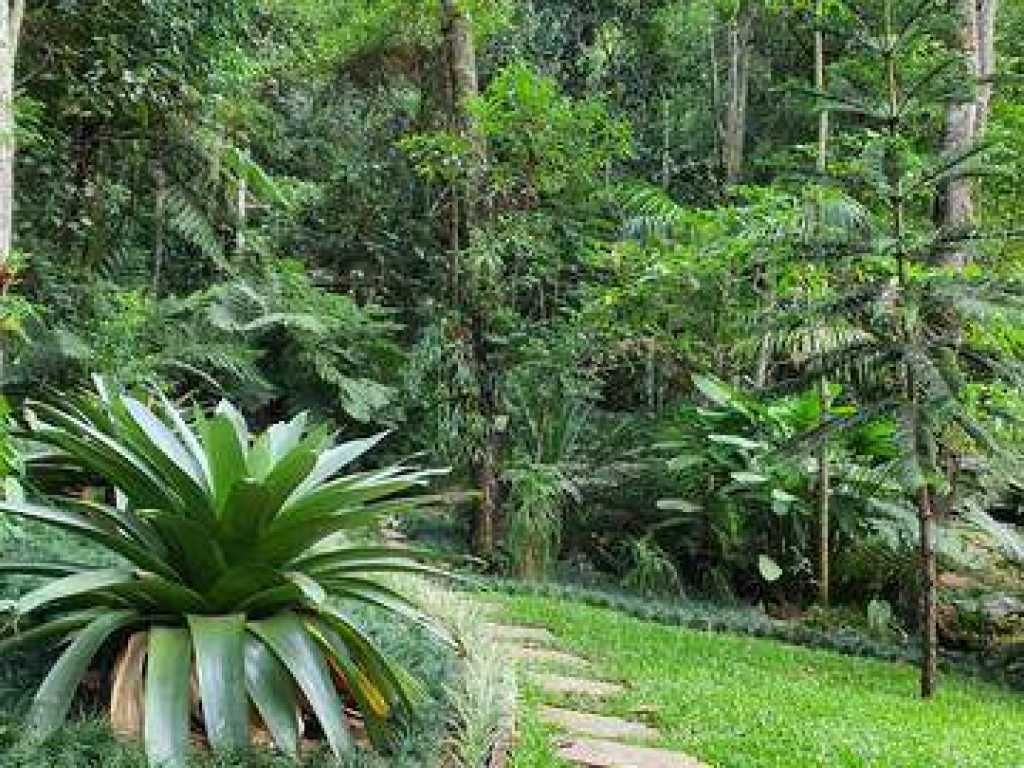 Casa de alto padrão em sítio, um lugar ideal para quem quer relaxar junto a Natureza