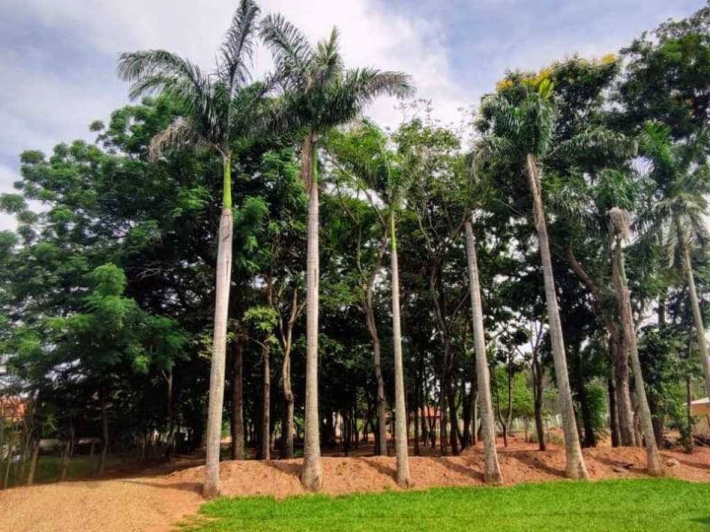 Rancho Rio Tiete, pé na areia