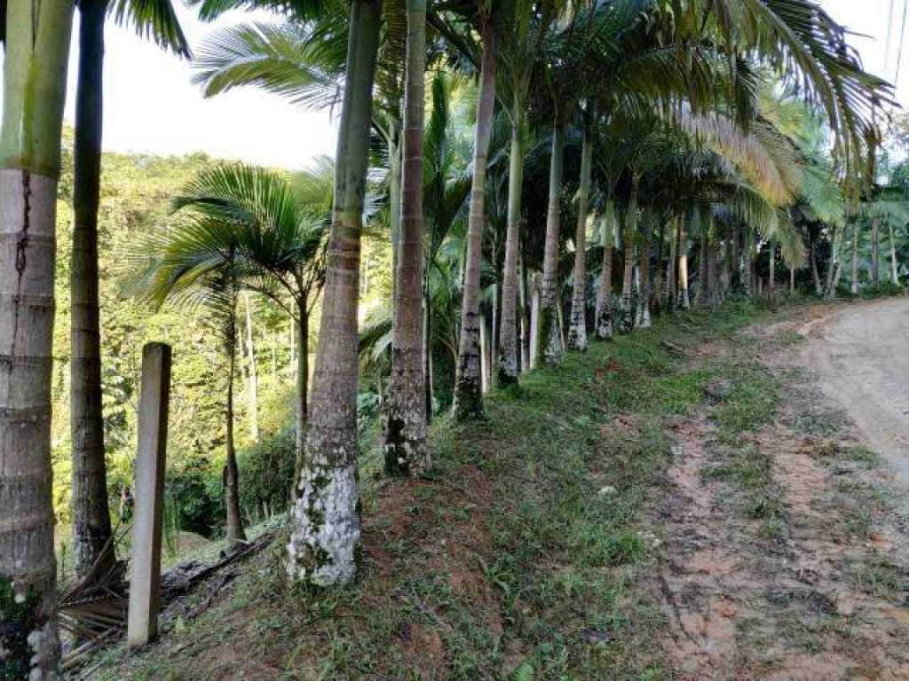 Belo Terreno para chácara.