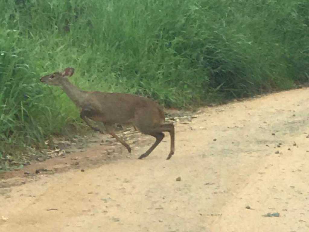 Sítio familiar de lazer no Sul de Minas Gerais