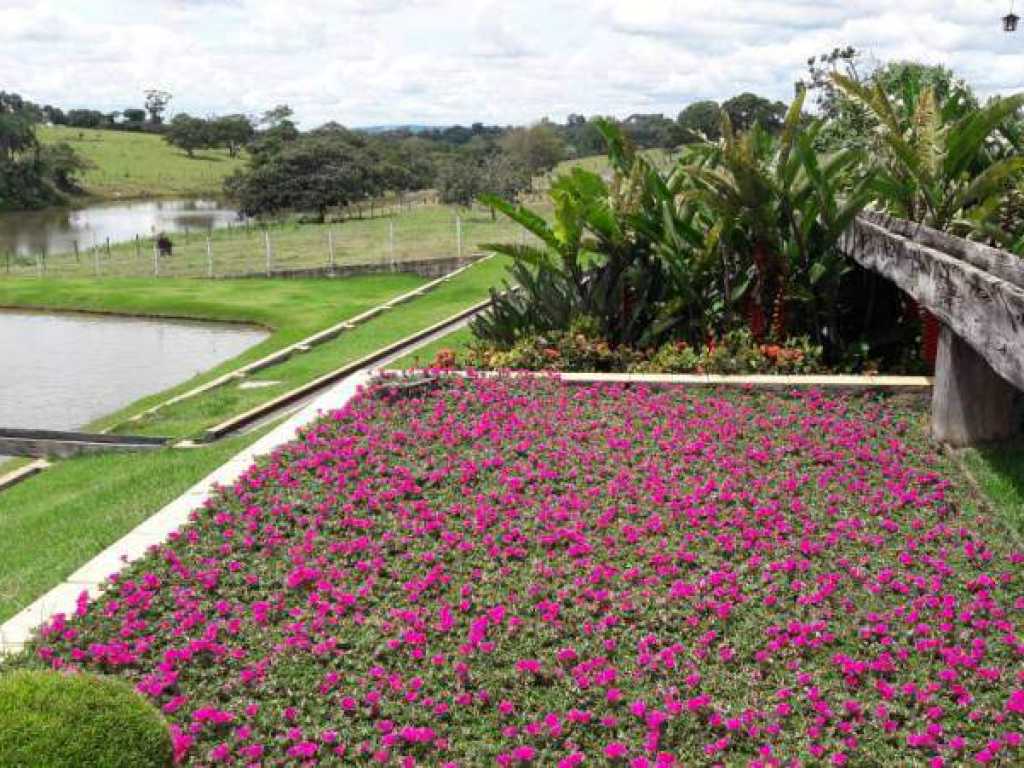 Fazenda Flamboyant