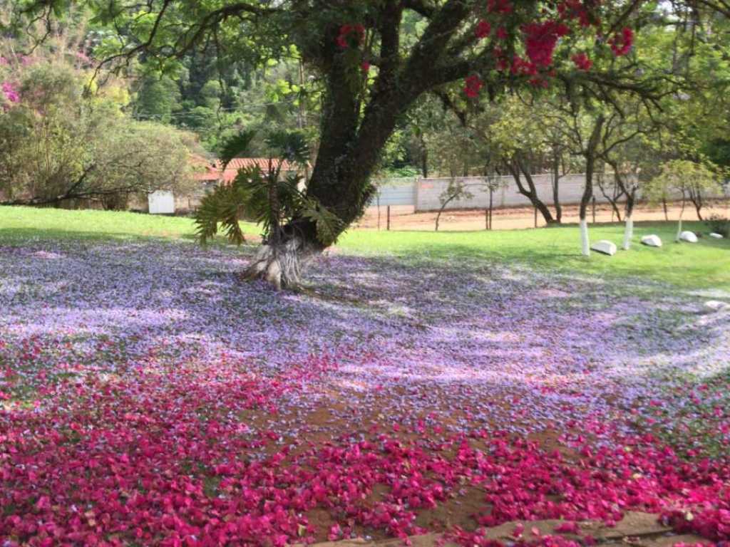 Casarão de Fazenda para sua Família, Simples e Rústico