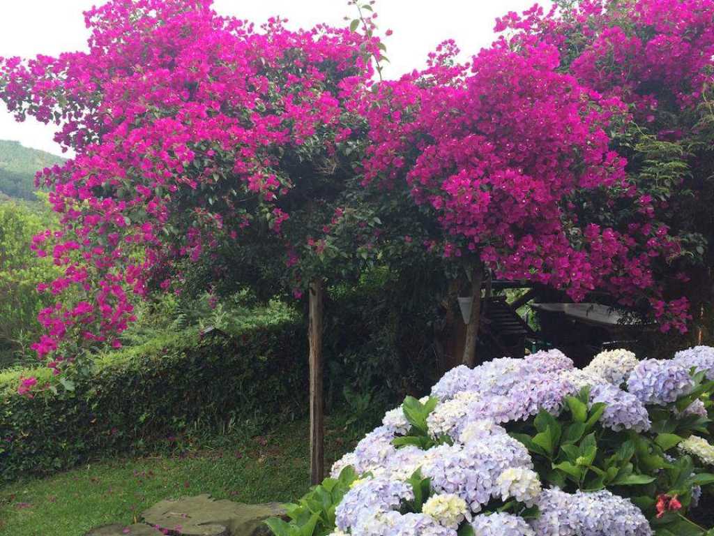 Linda casa com vista deslumbrante