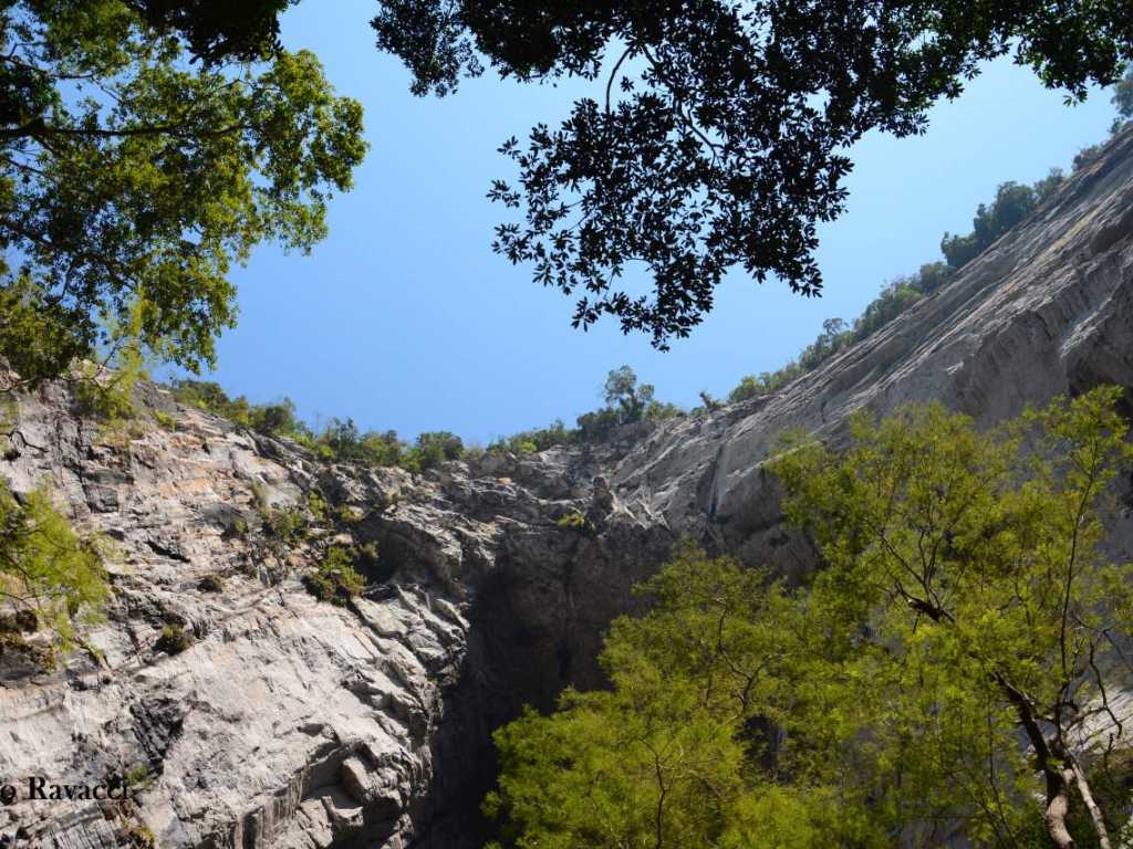 Chácara Petar Parque Turístico Alto do Ribeira em meio a Mata Atlântica de uso exclusivo .