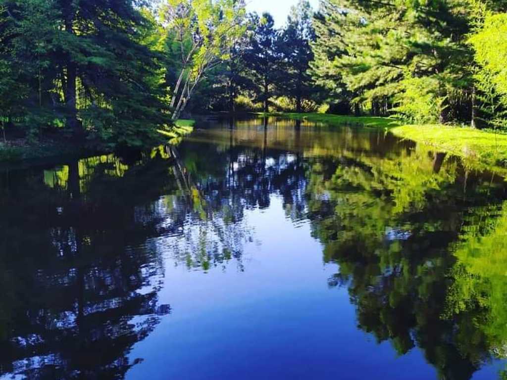 Lindo sítio num belo bosque junto ao centro de Gramado