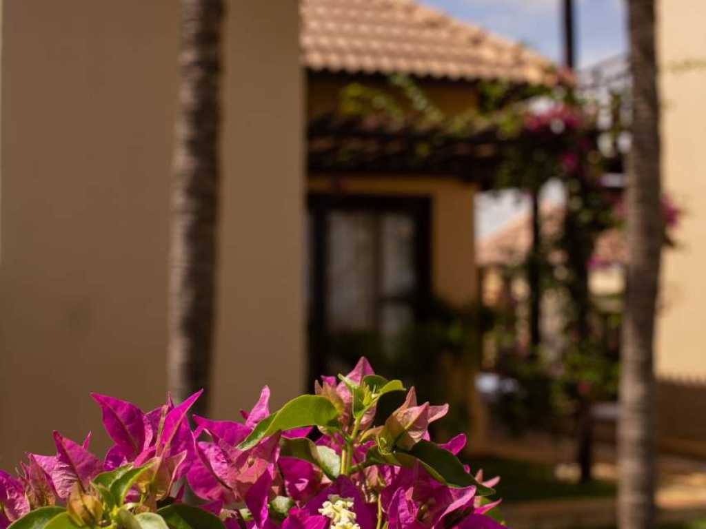 VILLA BRAIZINHA - BEACH HOUSE DUNE