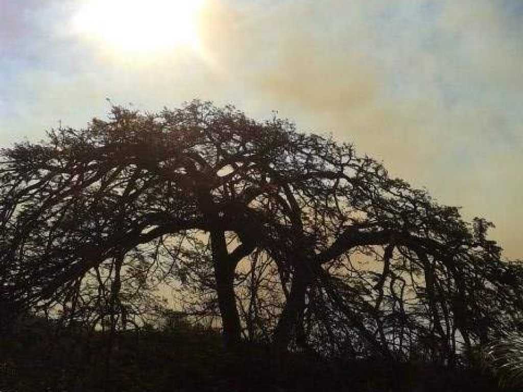 Solar Fazenda do Cedro