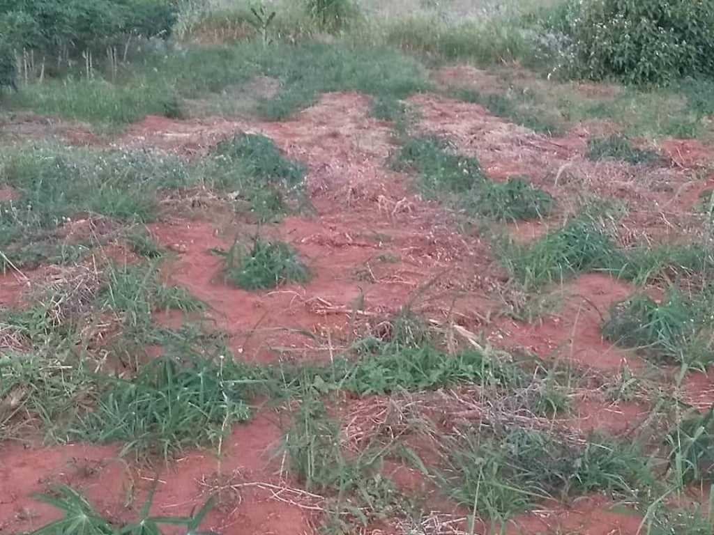 Linda Chácara a venda Lupionópolis