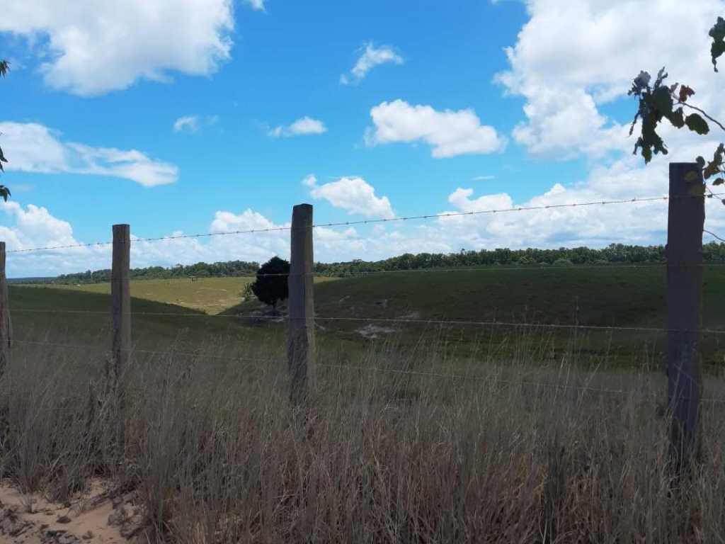 Quarto Centro Trancoso