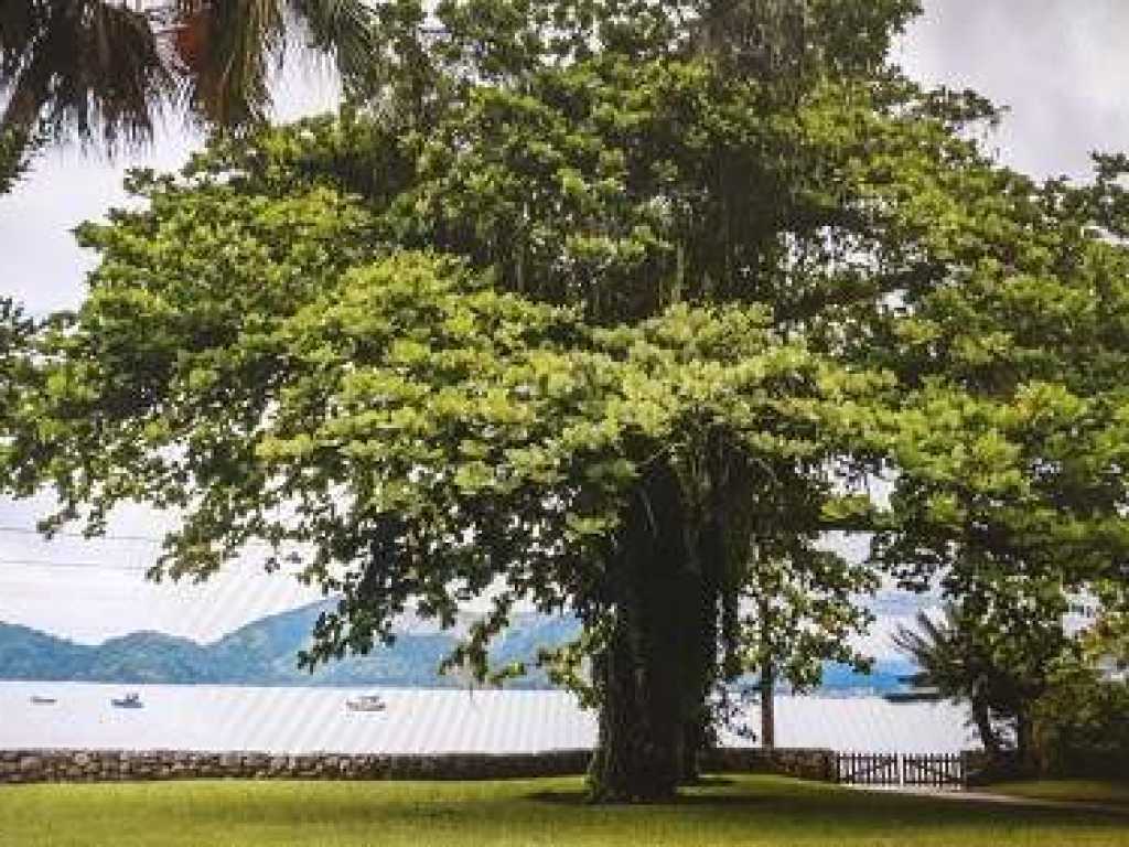 CASA FRENTE AO MAR UBATUBA