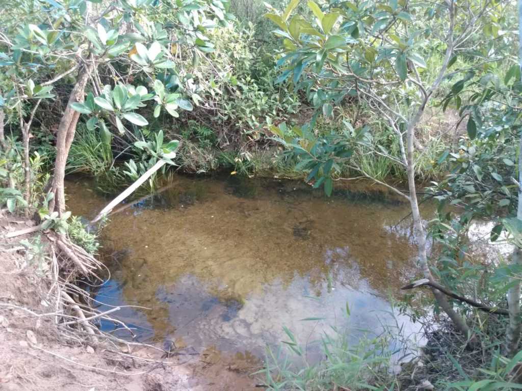 Chalé Recanto do Beija-Florna Chapada dos Veadeiros/Alto Paraíso GO.