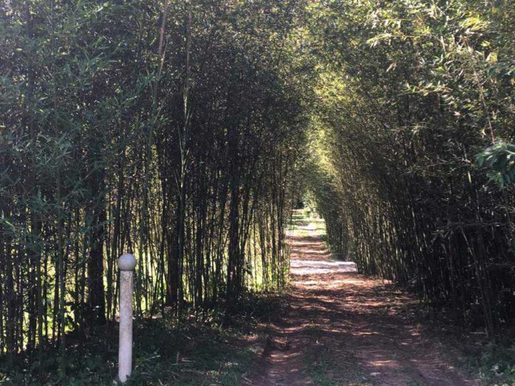 Chácara Com Piscina No Litoral Norte- Boiçucanga