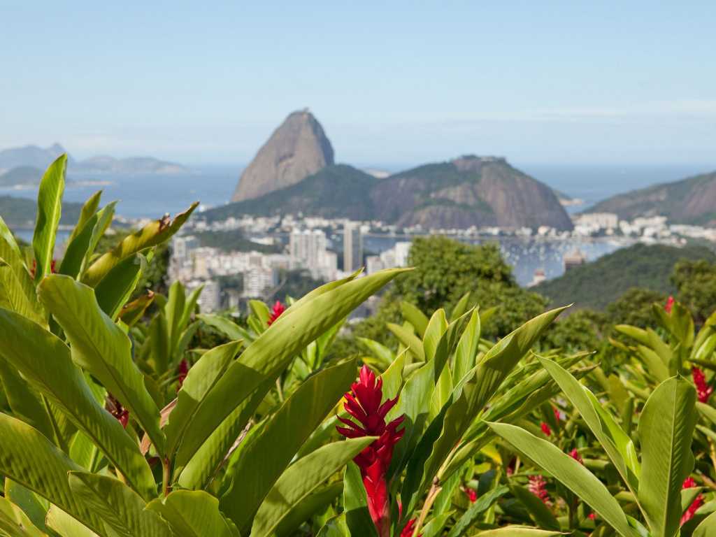 Rio019 - Amazing Mansion overlooking the city with pool