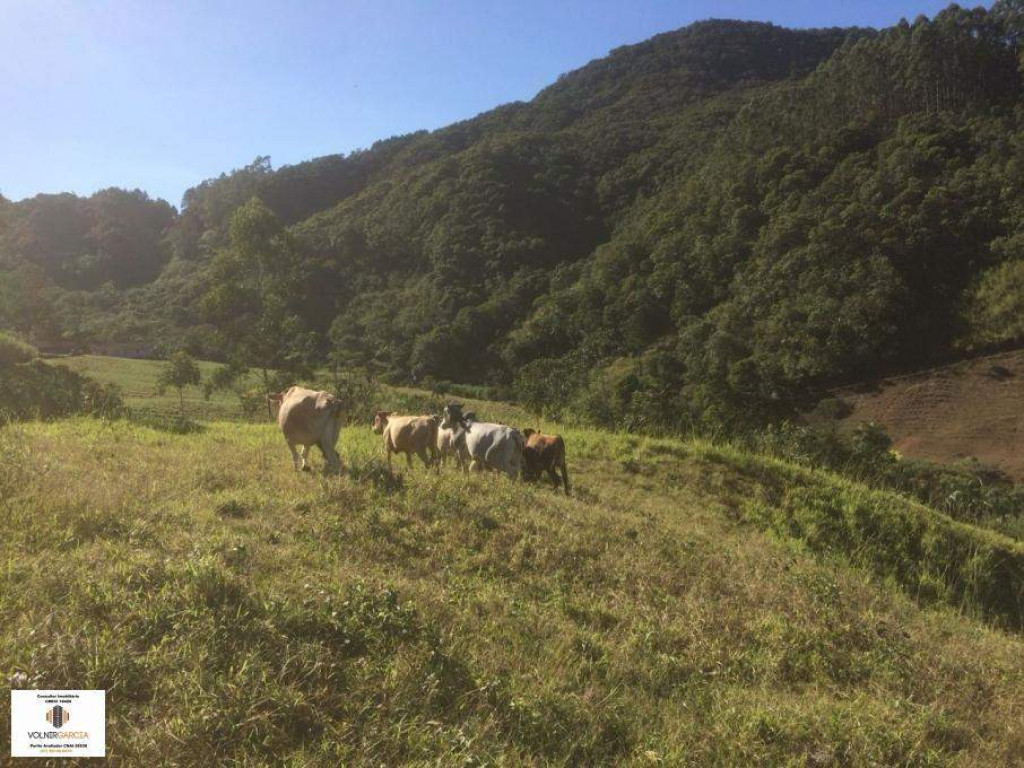 Ótimo imóvel rural!