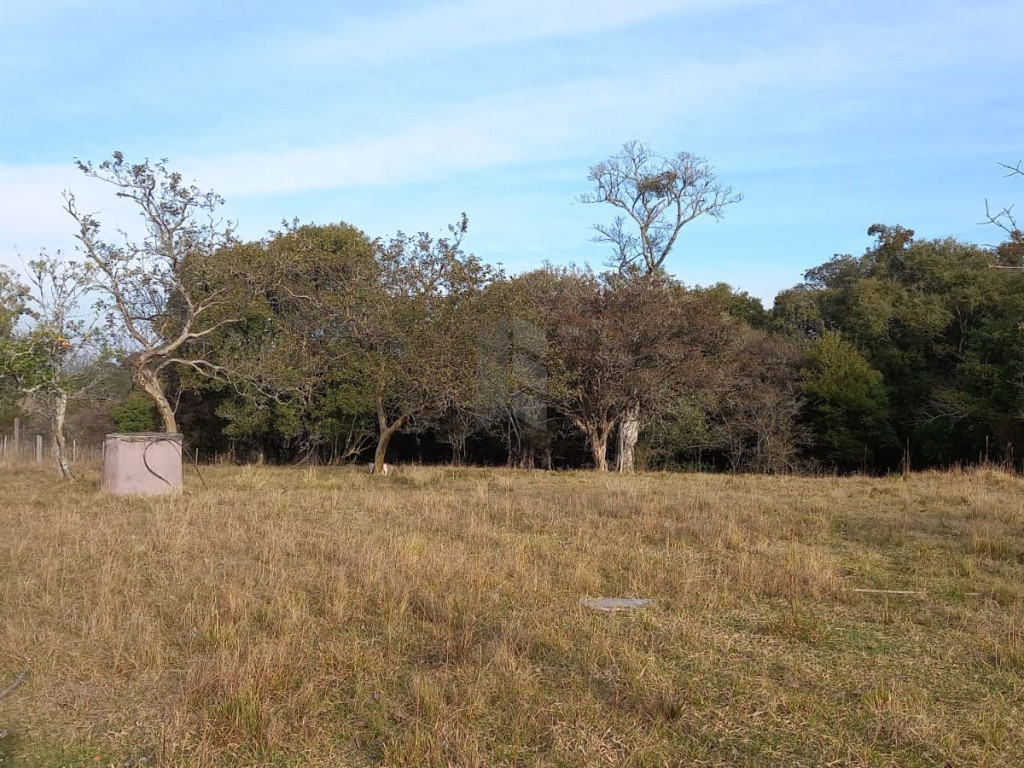 Chácara 2 dormitórios à venda Zona rural Santa Maria/RS