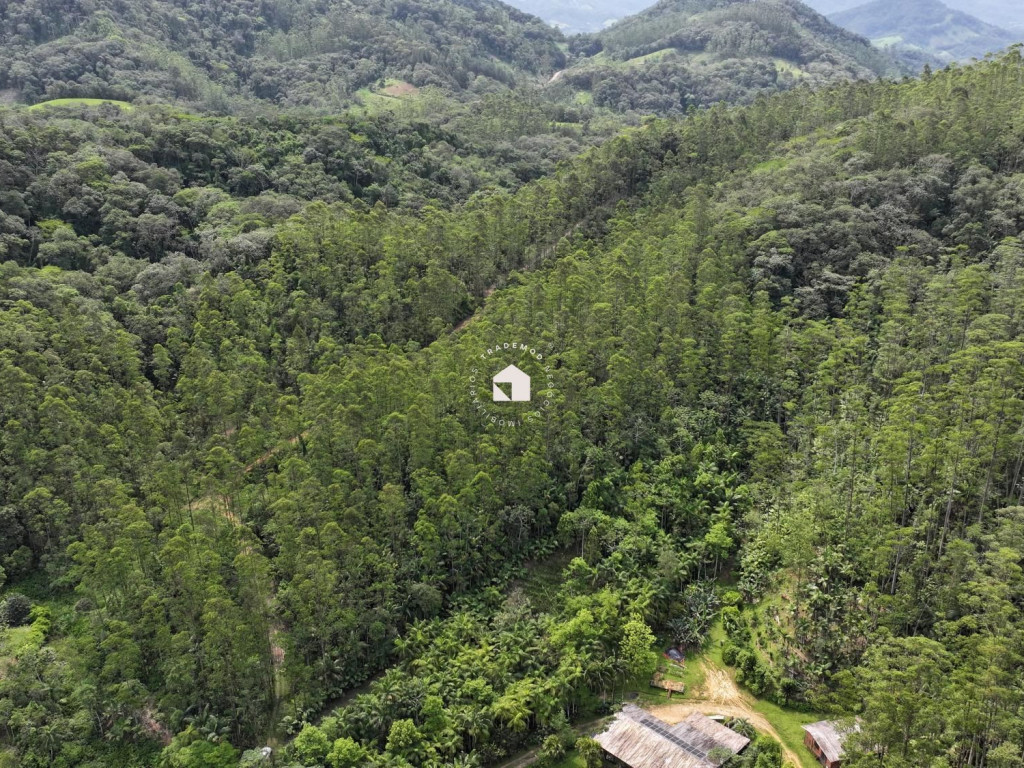 Chácara com 88.500m² no Vale do Selke, 14.000 pés de eucalipto e acessos por todo o terreno.