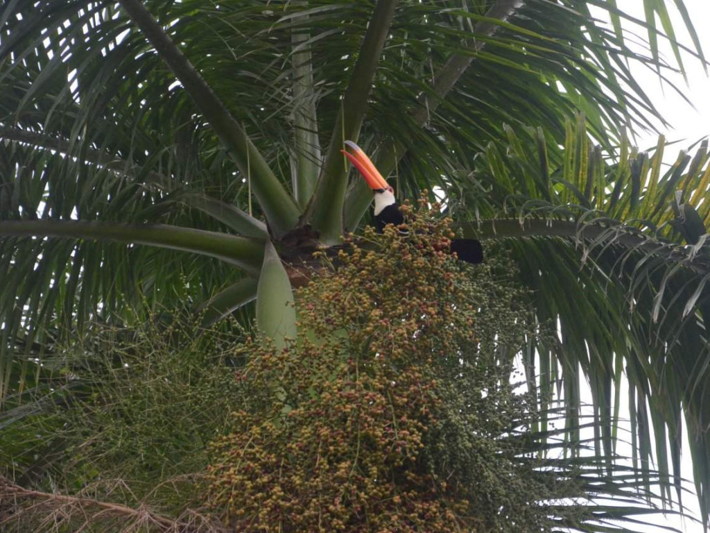 Casa em Condomínio de Rancho beira rio