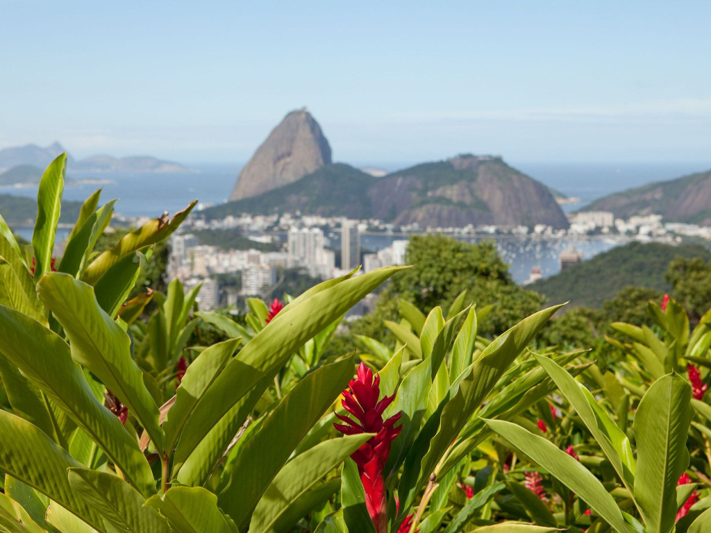 Rio019 - Amazing Mansion overlooking the city with pool