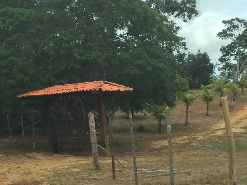Alugo casa em lindo sitio na área rural de Barra do Pojuca (Camaçari-Ba). Estrada do Coco