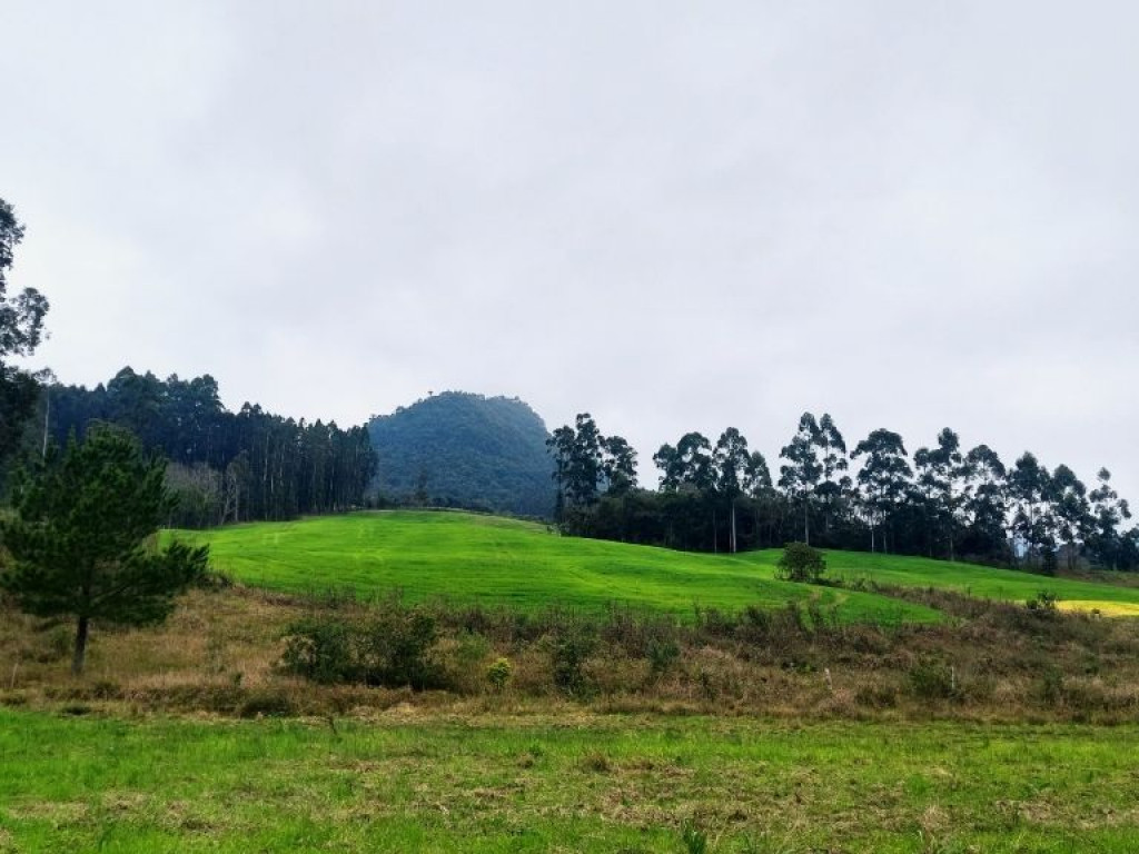 Ótimo Sítio à Venda com 14 hectares Semi Plano em Santa Catarina
