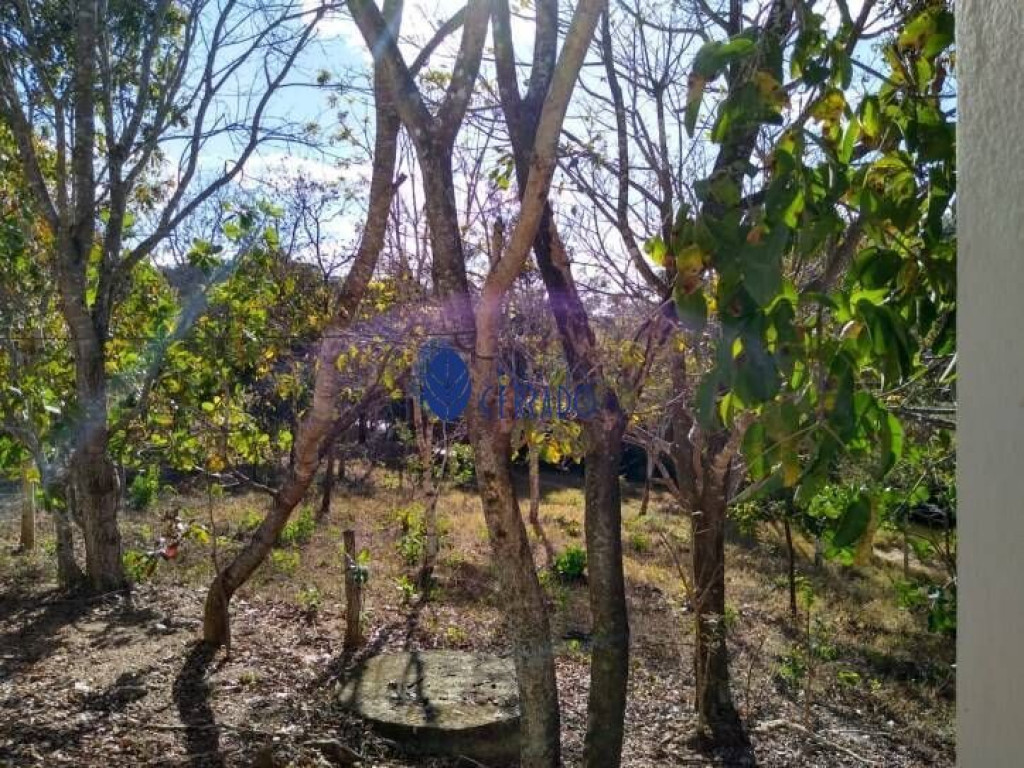 Chácara de 3 Alqueire à Venda no Município de Pirenópolis - GO
