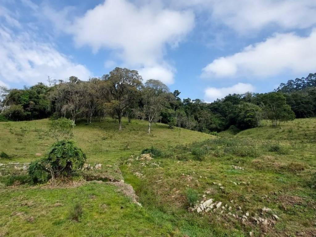 Terreno para Sítio à venda de 3 hectares Escriturado em Agrolândia SC