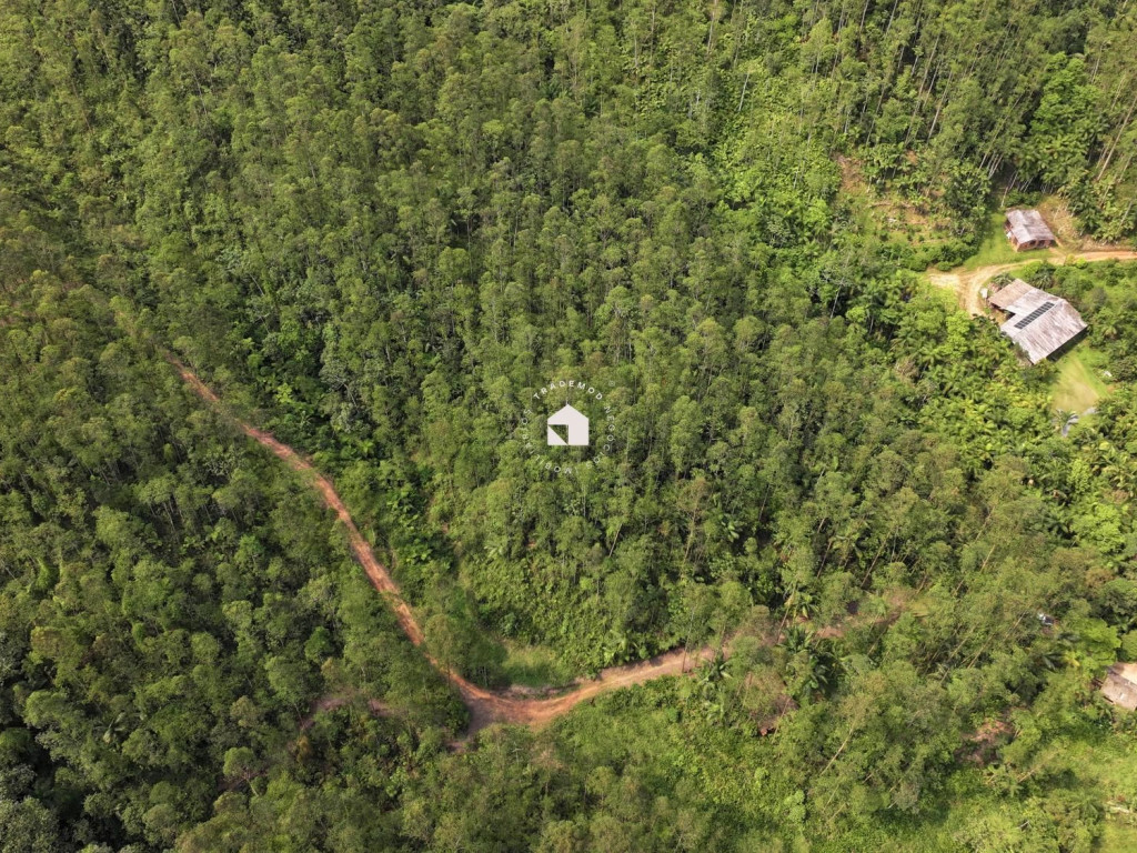 Chácara com 88.500m² no Vale do Selke, 14.000 pés de eucalipto e acessos por todo o terreno.